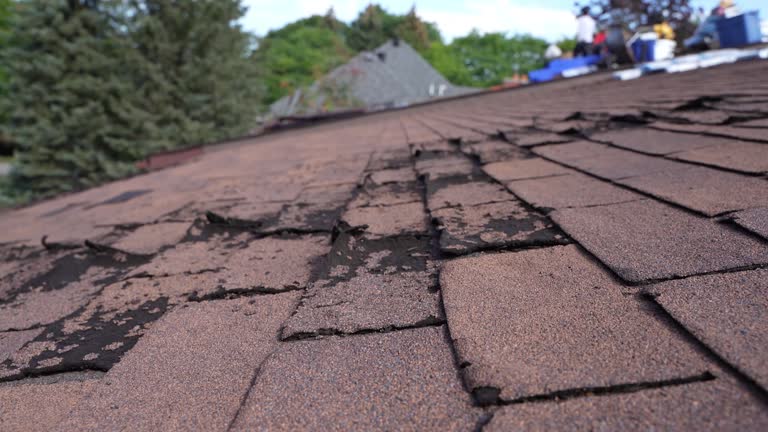 Best Chimney Flashing Repair  in Bridgetown, OH