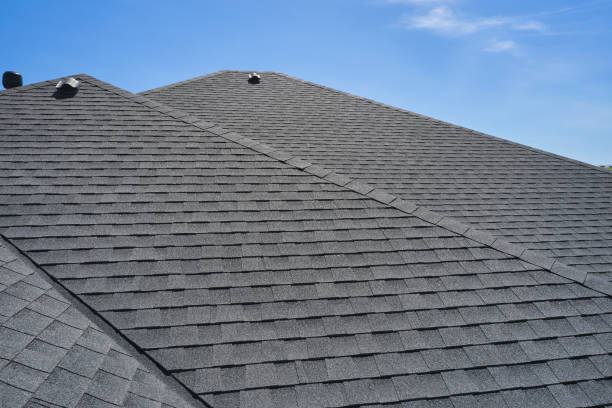 Best Roof Moss and Algae Removal  in Bridgetown, OH